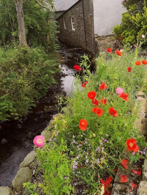 Riverside Cottage At Logwood Mill Ballyclare Kültér fotó