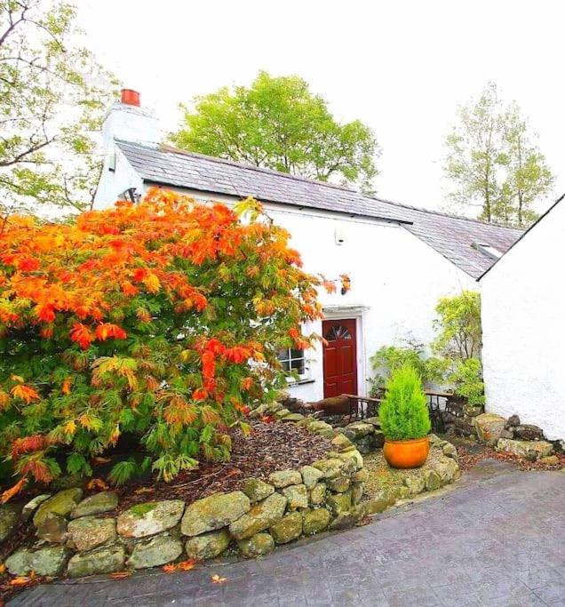 Riverside Cottage At Logwood Mill Ballyclare Kültér fotó