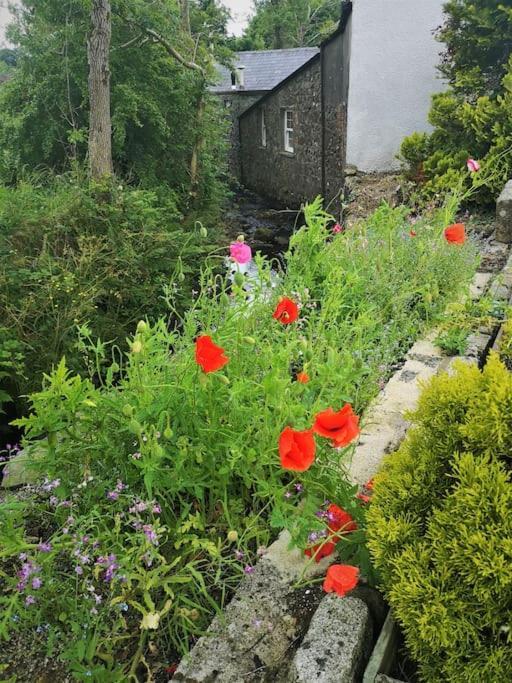 Riverside Cottage At Logwood Mill Ballyclare Kültér fotó